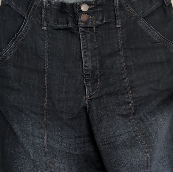 Democracy Absolution Skyrise Wide Leg with Center Front Seams - indigo sz 12 - Picture 3 of 7